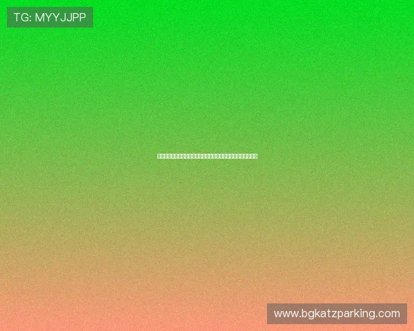 凯发竞咪百家乐在世界杯期间的安全保障措施与玩家权益保护方案