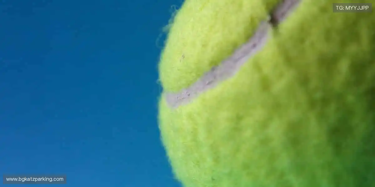 在线游戏全能首选:纵览全球热门标题,畅享流畅互动体验